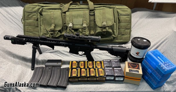 Custom AR 458 Socom, Extras & ammoFS/FT