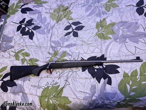 Remington 700 stainless 375 H&H