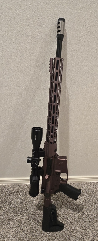 Custom AR .350 Legend