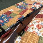 Winchester Model 70 .416 Rem - Bolt-Action Rifles for Sale in Alaska