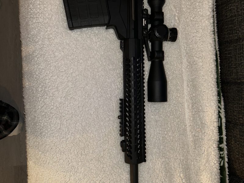 Ruger Precision .308