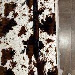 CZ USA 712 Extended - Semi-Auto Shotguns for Sale in Alaska